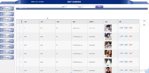 SpringBoot与Vue.js球鞋产品抢购系统的设计与实现